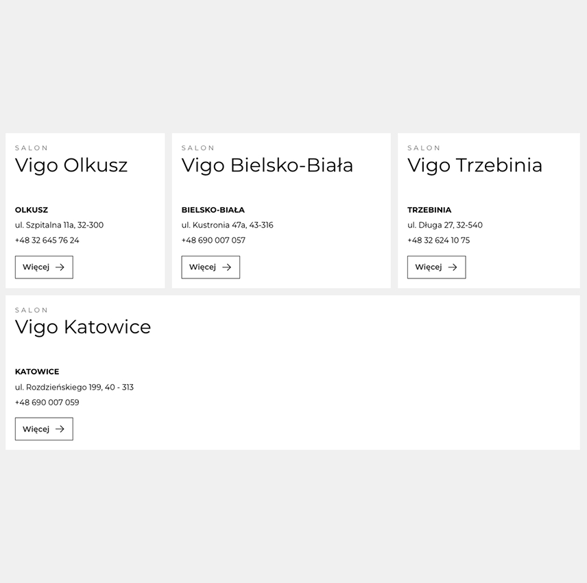 Vigo - strona internetowa