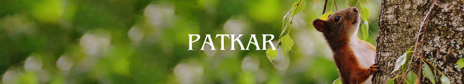 Patkar